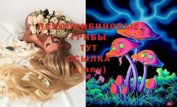 крисы Инта