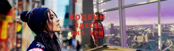 гашик Каменка
