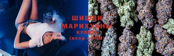 гашик Каменка