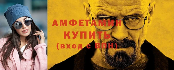 крисы Инта
