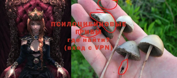 spice Иннополис