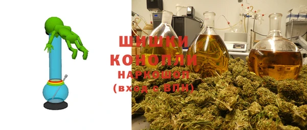 крисы Инта