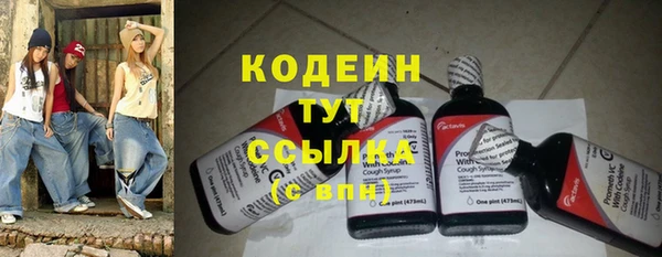крисы Инта