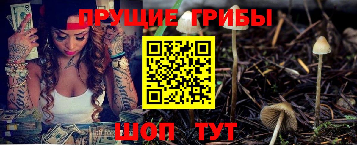 Галлюциногенные грибы Psilocybine cubensis Лабинск